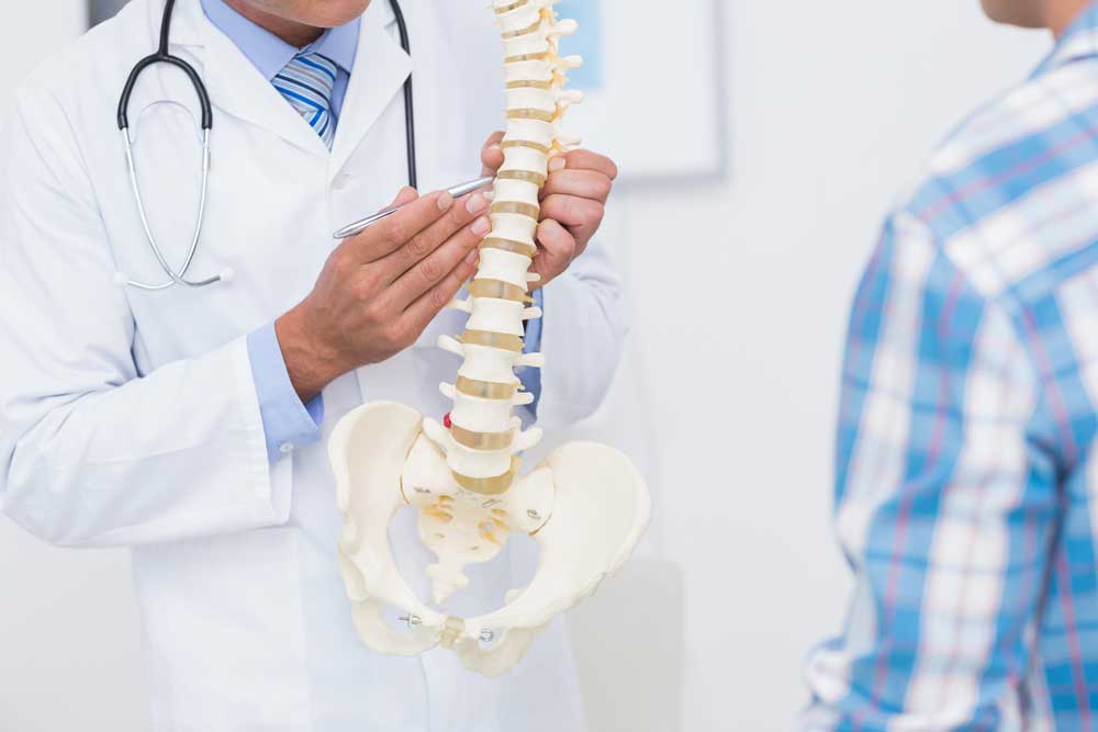 Interesting Chiropractic Facts and Stats